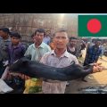 IS Bangladesh Market too Expensive? 🇧🇩