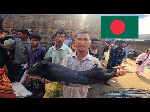 IS Bangladesh Market too Expensive? 🇧🇩