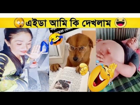 অস্তির বাঙালি😁🤣 part 20। Bangla funny video। osthir bangali। মজা লন। মায়াজাল। fact bangla।funny fact