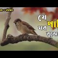 যে পাখি ঘর বুঝেনা | Je Pakhi Ghor Bojhena | Dhruba | Bangla Music Song