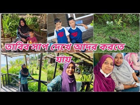 সাপের পিছন পিছন চলে যাচ্ছিলো তাবিব শেষ দিনে /মনে হচ্ছিলো আমরা চিড়িয়াখানার মধ্যে আছি /Travel vlog.