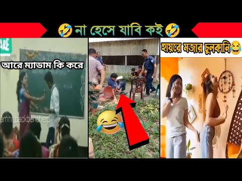 অস্থির বাঙালি & অস্থির বিদেশি(Special)Bangla funny video | না হেসে যাবি কই | mayajaal | Facts bangla