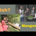 Catching Fish and Collecting Mangoes in village: Safa and Safwaan Bangladesh Travel Series