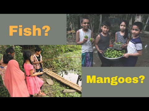 Catching Fish and Collecting Mangoes in village: Safa and Safwaan Bangladesh Travel Series