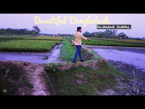 A Beautiful Village Area of Rajnagar, Rampal | Beautiful Bangladesh.