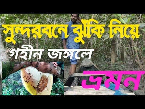 সুন্দরবনের গভীর জঙ্গলে ঝুঁকি নিয়ে ভ্রমন,Risk travel inthe deep jungles ofthe Sundarbans,Bangladesh