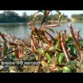 আছরাঙা ‍দিঘী । Asranga Dighi ।  khetlal । Joyporhat । Bangladesh travel vlog । Rayhan Sharif