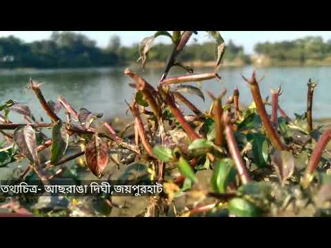 আছরাঙা ‍দিঘী । Asranga Dighi ।  khetlal । Joyporhat । Bangladesh travel vlog । Rayhan Sharif