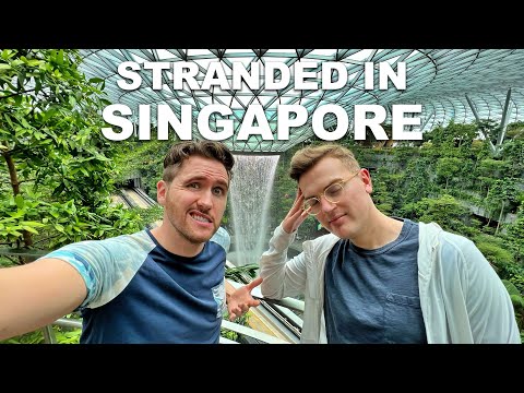 Denied Boarding To Country 85😭 (Singapore-Bangladesh-Dubai)