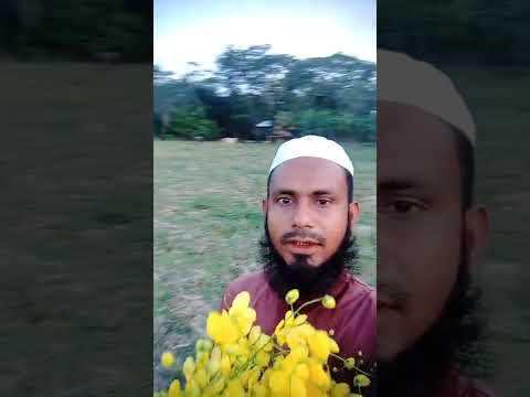 Bangladesh travel, travel to borishal, travel to my village