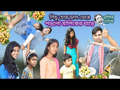 লিচু চোর ডাল ভেঙে পড়লো মালিকের ঘাড়ে || Bangla funny video lichu chor || বাংলা  হাসির নাটক ।