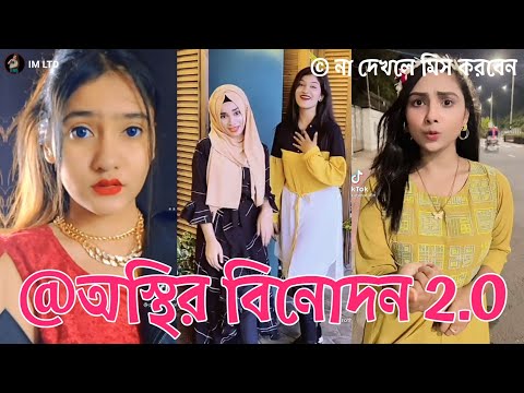 অস্থির বিনোদন 2.0 | Bangla New Funny Tiktok and Musical Video ★Bangla New Trending Tiktok Video 2022