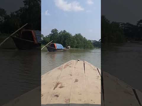 এক টুকরো পটুয়াখালী 🌼❤️#bangladesh #short #shortvideo #travel #viral #tiktok #river