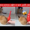 এদের কান্ড দেখে হাসি থামাতে পারবেন না😂 | Funny animals (Part-07) | caught on camera bangla | funny