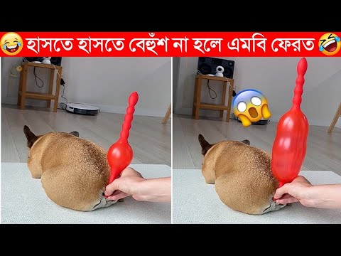 এদের কান্ড দেখে হাসি থামাতে পারবেন না😂 | Funny animals (Part-07) | caught on camera bangla | funny