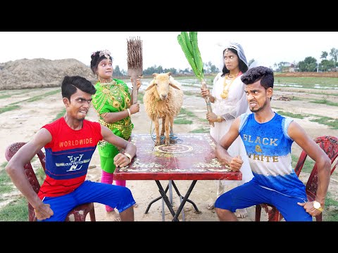 New Special Challenging Video2022 ! Must Watch New Tui Tui Funny Video 2022