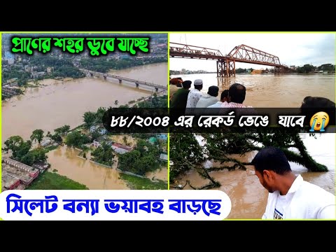 সিলেট বন্যার পানি বাড়ছে – সিলেট ভ্রমণে সাবধান | sylhet bonna | sunamganj bonna | sylhet Bangladesh