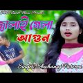 Amar Moner Manush । জ্বালাই গেলা আগুন । Bangla Music Video । Shahanaj Parveen । SMB Biplob Music