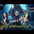 Bhool Bhulaiyaa 2 2022 Movie এর Bangla Explanation | Bhool Bhulaiyaa Horror Movie Review In Bangla