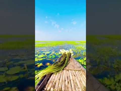 কোনো জিনিস বুকের মধ্যে পুষতে নেই 🙂 | travel bangladesh | bangladesh explore #shorts