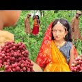 Bangla Chotoder Natok | ফুচকা পাগল বউ 5 |বাংলা দম ফাটানো হাসির নাটক লিচু পাগল | Nasimbhai new video