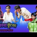 বাংলা ফানি ভিডিও কানা কুঁজো | (Sofik & Yasin) | Kana Kujo | Palli Gram TV Latest Video 2022