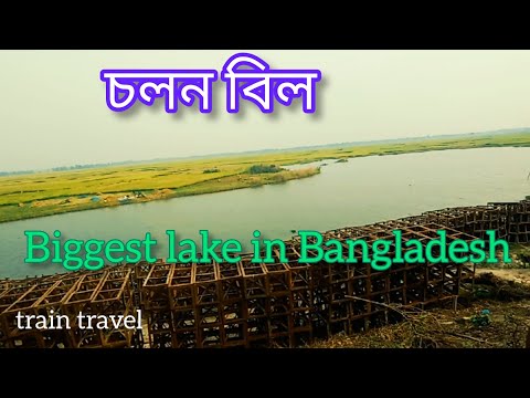 সবচেয়ে বড় ঐতিহ্যবাহী চলন বিল |Chalan beel | Adventure travel