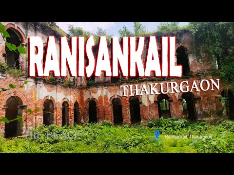 | The Peace | 📍 Ranisankail, Thakurgaon | Travel Bangladesh Vlog Video 🥰 Neutral Bangladesh