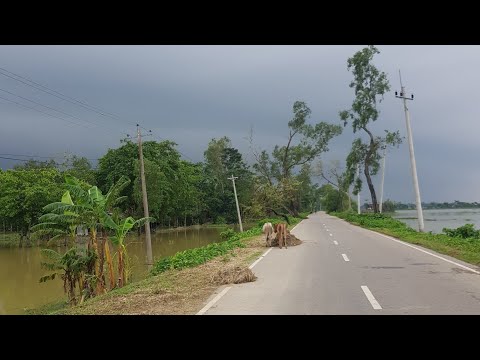 Road travel JagannathPur to Dabor।গ্রাম বাংলার হাওরের দৃশ্য। natural village life Bangladesh.