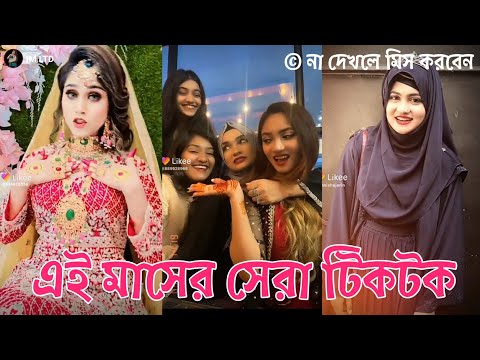 এই মাসের সেরা টিকটক | Bangla New Funny Tiktok and Musical Video | Bangla Funny Likee Video | IM LTD