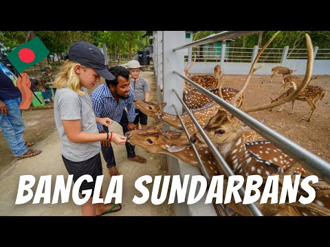 A DAY IN BANGLADESH SUNDARBANS: Exploring the largest mangrove forest in the world.