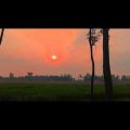 | The Preace | Neutral Bangladesh 🥰 Travel Bangladesh Vlog Video  | village | the peace |