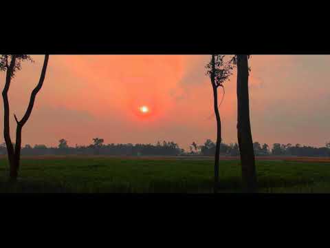 | The Preace | Neutral Bangladesh 🥰 Travel Bangladesh Vlog Video  | village | the peace |