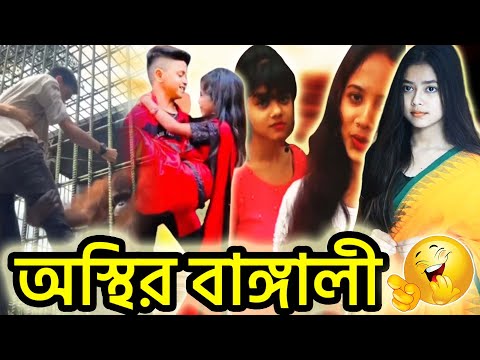 অস্থির বাঙালি🤣 | Osthir Bangali Part-1 | Bangla funny video | Osthir Stupidiance