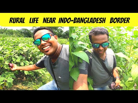 Rural Life of Border Area / Immigration and Customs of Bangladesh