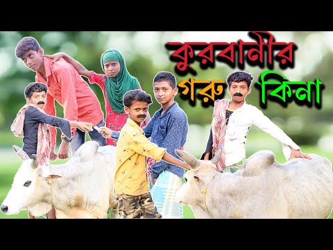 কুরবানীর গরু কিনা বাংলা ফানি ভিডিও || Buy Kurbani Cow || Bangla Funny video