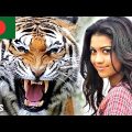 10 Most Interesting Facts About Bangladesh | Part 2 – Compilation