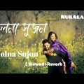 Cholna Sujon-"LoFi"_Official Music Video | | চলনা সুজন [ Slowed+Reverb ] | New Bangla Song 2022