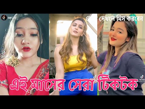 এই মাসের সেরা টিকটক | Bangla New Funny Tiktok and Musical Video | Bangla Funny Likee Video | IM LTD