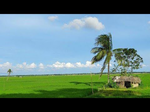 Beautiful Place In Bangladesh – Travel Dhaka to Dinajpur by Train