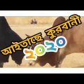 AITASE QUARBANI  – NEW BANGLA SONG (আইতাছে কুরবানী)  – DDC BANGLADESH – 2020 – BANGLA RAP SONG