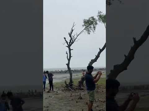 Guliyakhali Sea Beach #travel #bangladesh #youtube #youtubeshorts #beche #traveldiaries #shitakundo