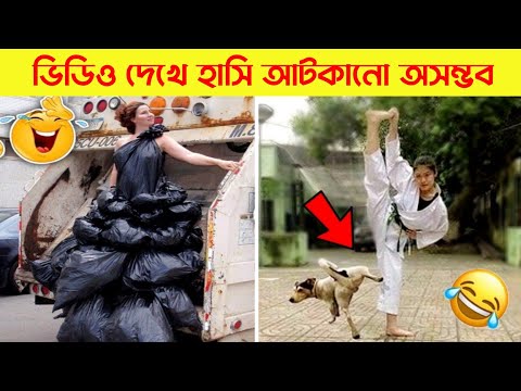 দুনিয়ার সবচেয়ে মজার ভিডিও | Bangla funny video | Mayajaal | Totpor facts | মায়াজাল