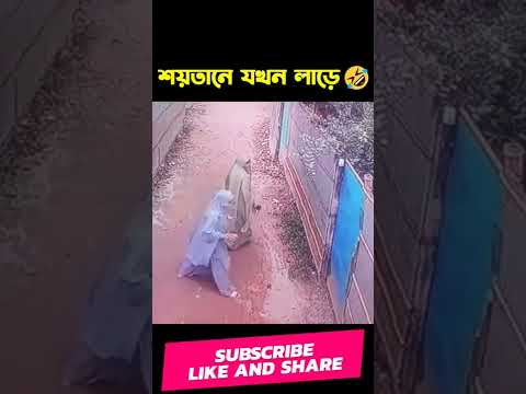 bangla funny video