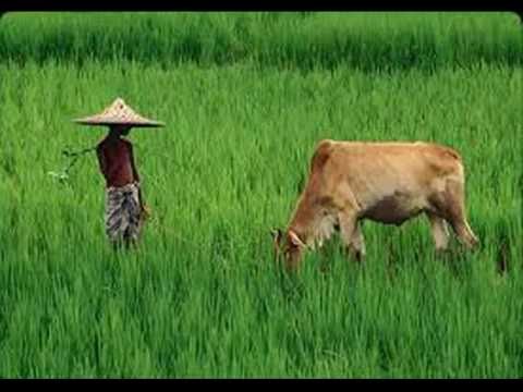 Natural Beauty Of Bangladesh With Nice Song (Dont Miss It)