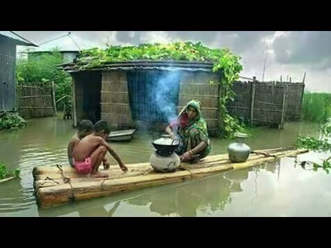 কেউ খবর নেয় না! কুড়িগ্রামে ভয়াবহ বন্যা!