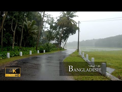 The Village of Bangladesh