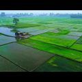 Landscape of Bangladesh | বাংলাদেশের প্রাকৃতিক দৃশ্য | Bangla song