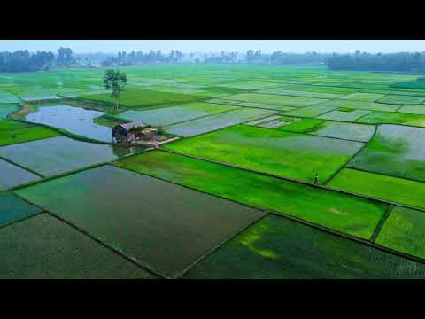 Landscape of Bangladesh | বাংলাদেশের প্রাকৃতিক দৃশ্য | Bangla song