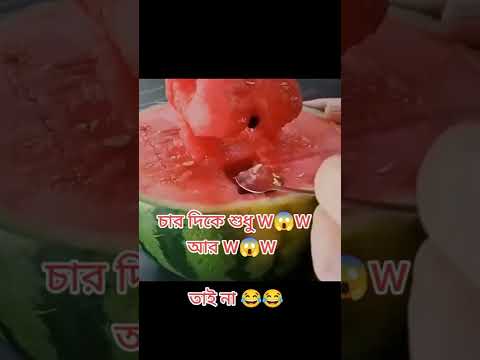 Funny Video | Bangla Funny Video | Funny Tik Tok Video | Funny Short | Unique funny ltd J #Shorts